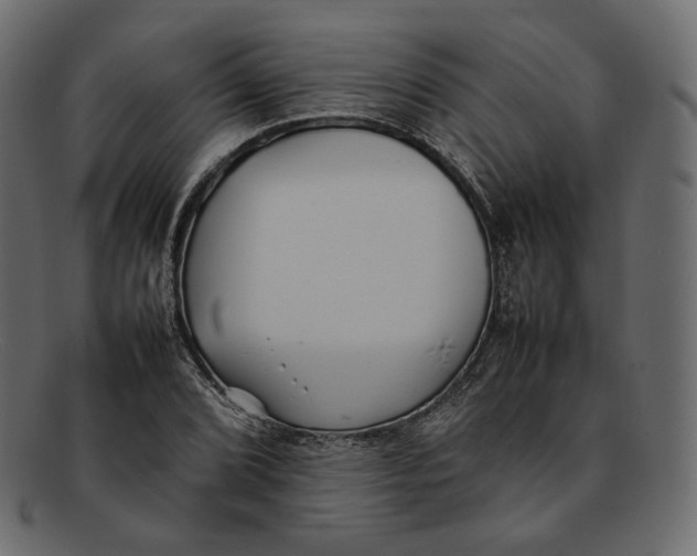 X0000092061072200710101029