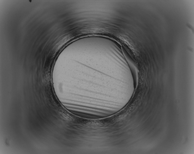 X0000092061073200710101029