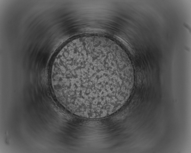 X0000092061074200710101029