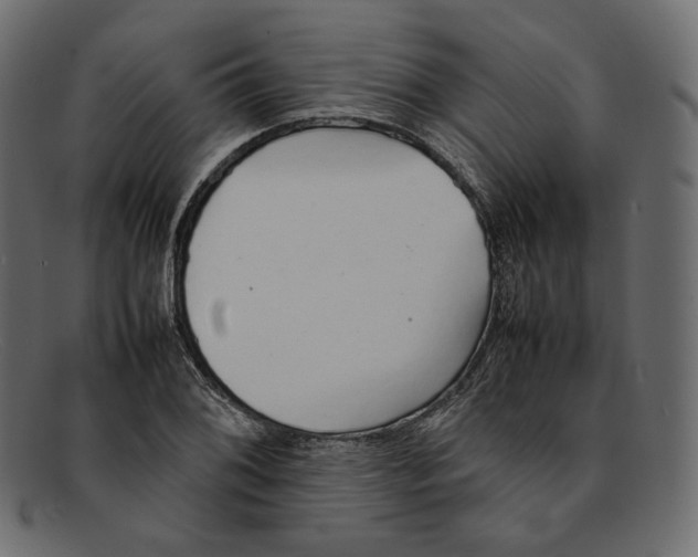 X0000092061076200710101029