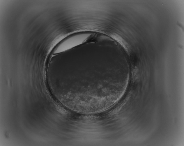 X0000092061077200710101029