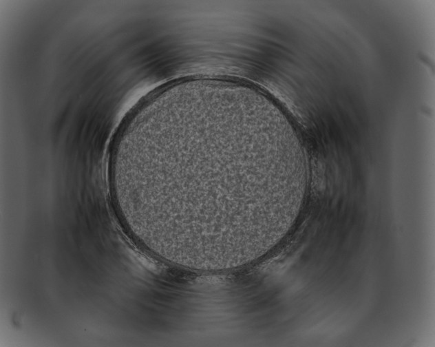 X0000092061078200710101029