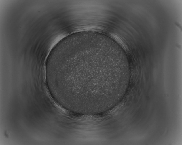 X0000092061079200710101029