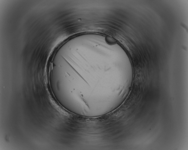 X0000092061080200710101029