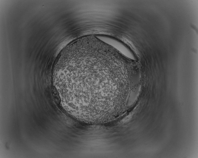 X0000092061081200710101029