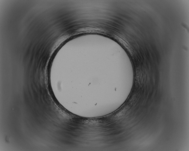 X0000092061082200710101029