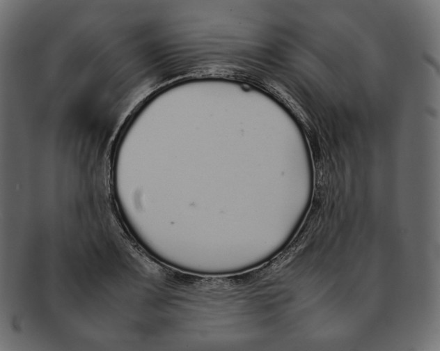 X0000092061083200710101029