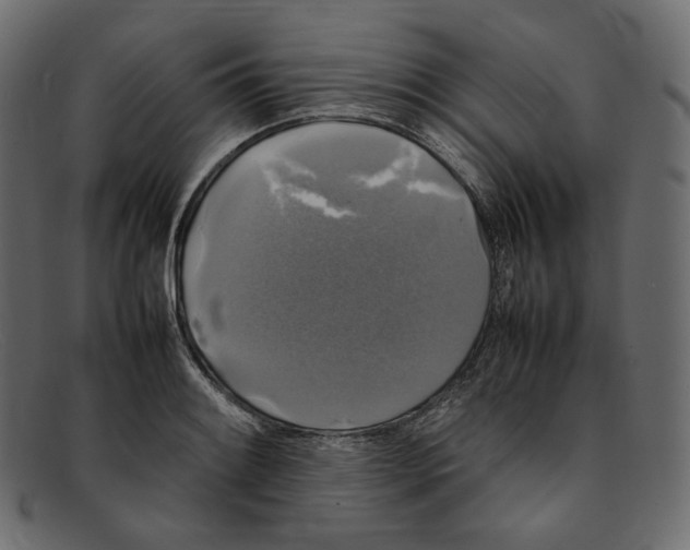 X0000092061084200710101029