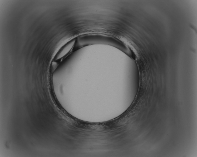 X0000092061085200710101029