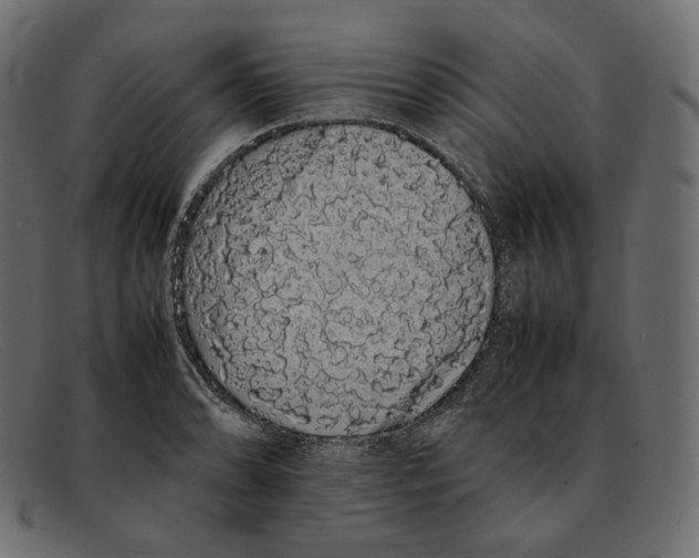 X0000092061086200710101029