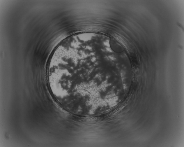 X0000092061087200710101029