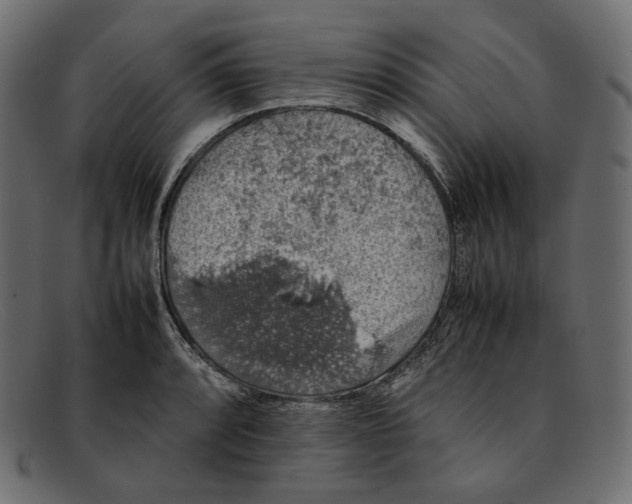 X0000092061088200710101029