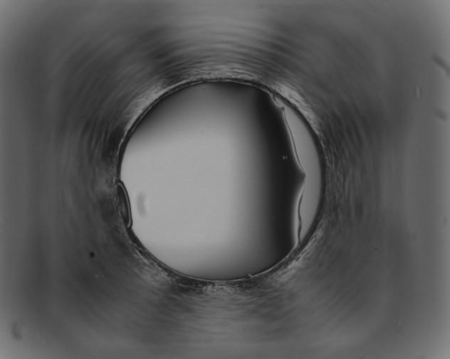 X0000092061089200710101029