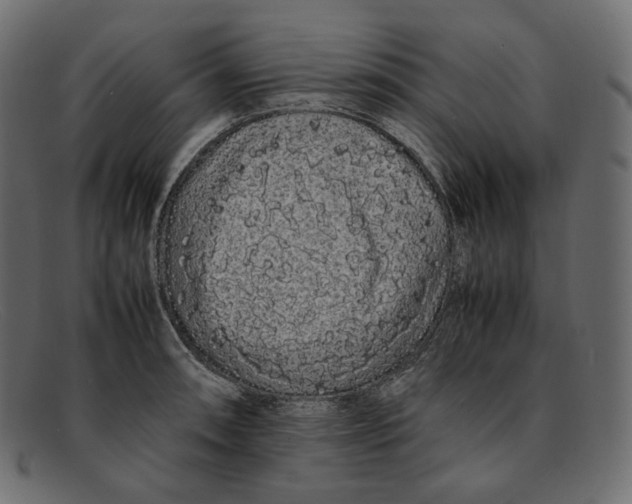 X0000092061090200710101029