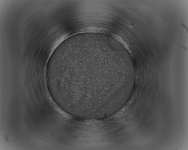 X0000092061091200710101029