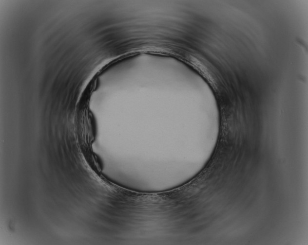 X0000092061092200710101029