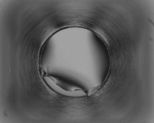 X0000092061093200710101029