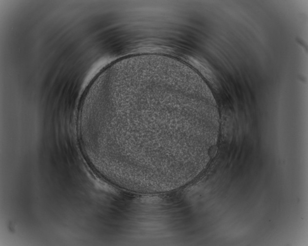 X0000092061094200710101029