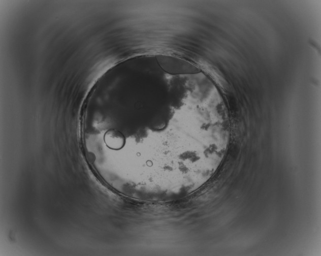 X0000092061095200710101029