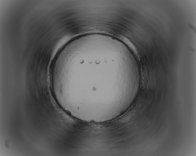 X0000092061096200710101029