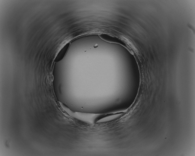 X0000092061097200710101029