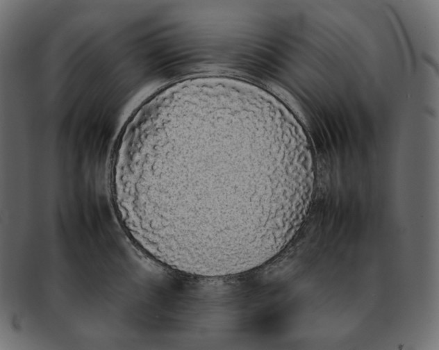 X0000092061098200710101029