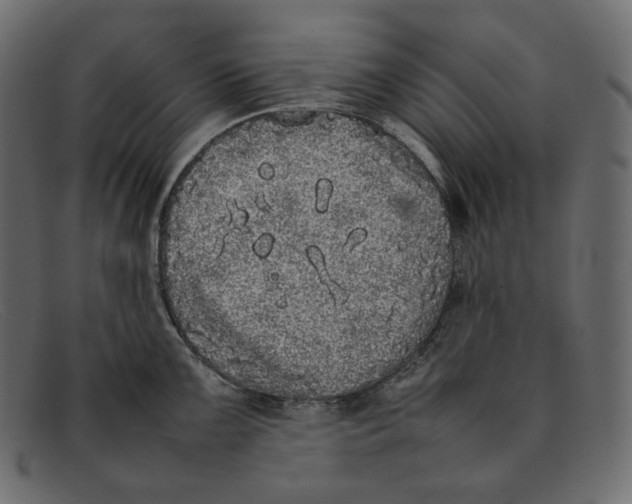 X0000092061099200710101029