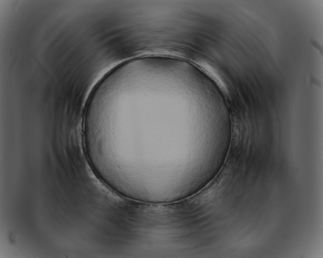 X0000092061100200710101029