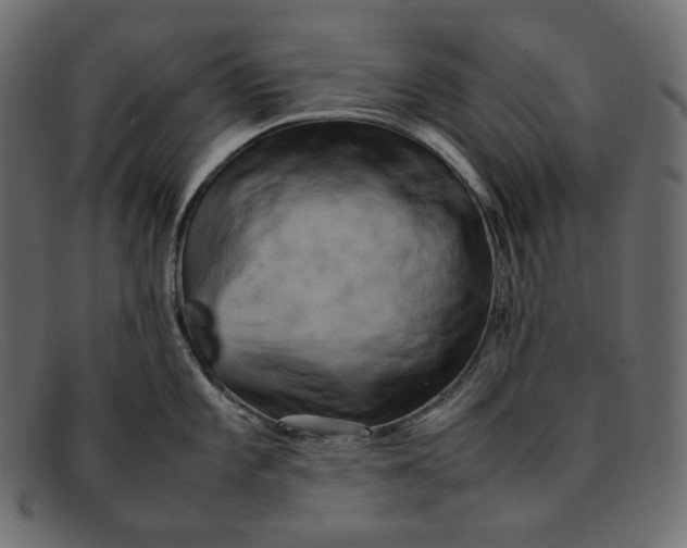 X0000092061101200710101029