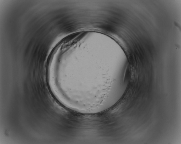 X0000092061102200710101029