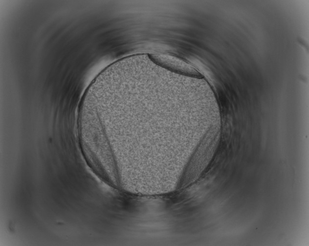 X0000092061103200710101029