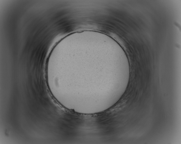 X0000092061104200710101029