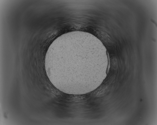 X0000092061105200710101029