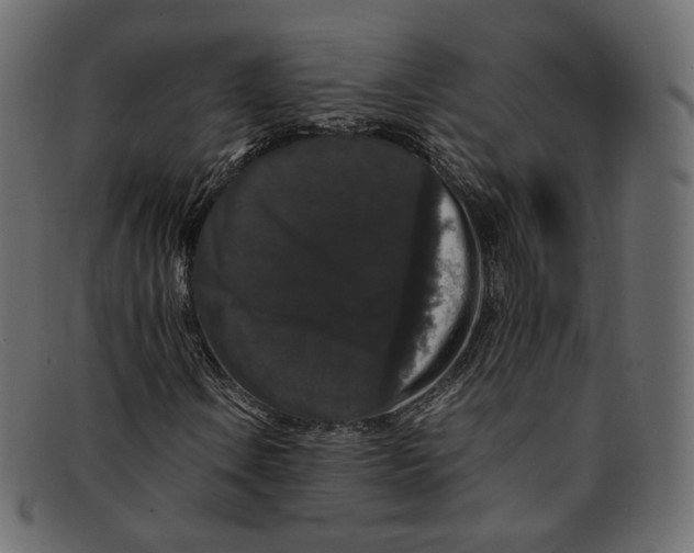 X0000092061106200710101029