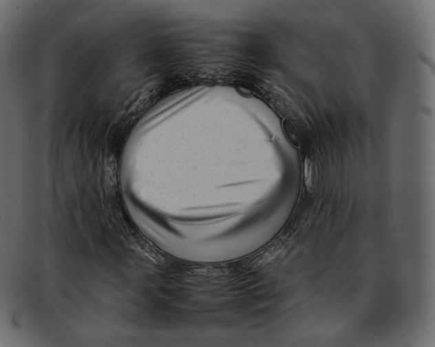 X0000092061107200710101029