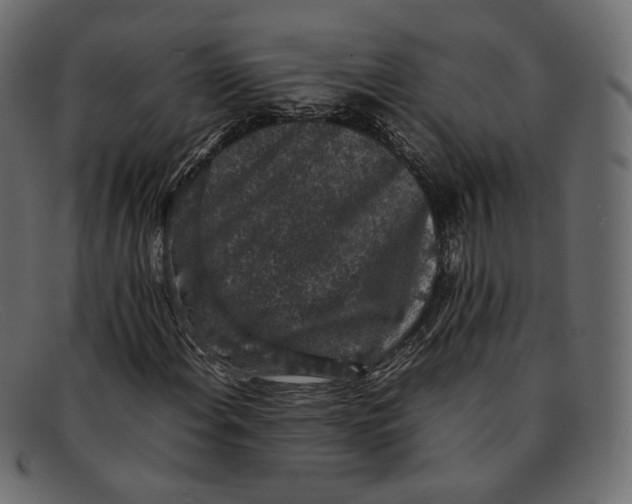 X0000092061108200710101029