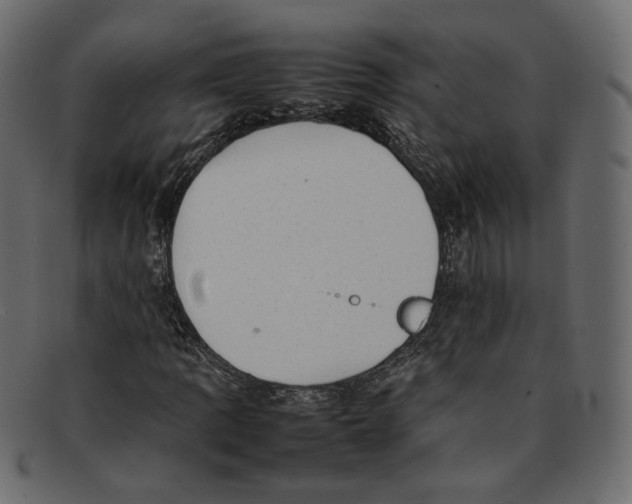 X0000092061109200710101029