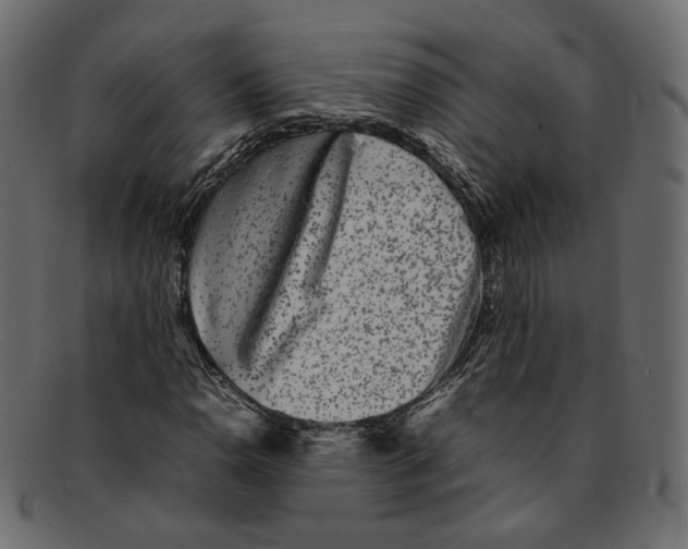 X0000092061110200710101029