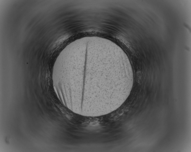 X0000092061111200710101029