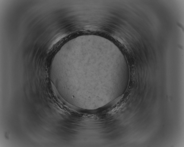 X0000092061112200710101029