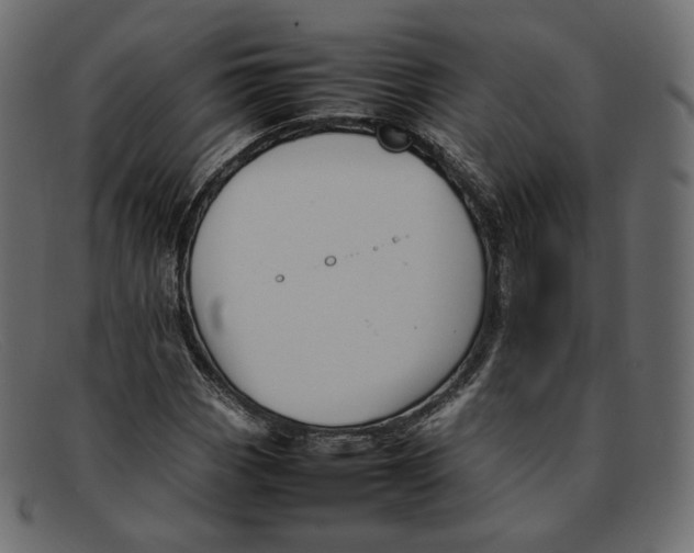 X0000092061113200710101029