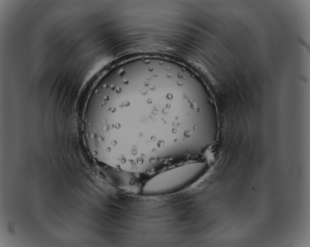X0000092061114200710101029