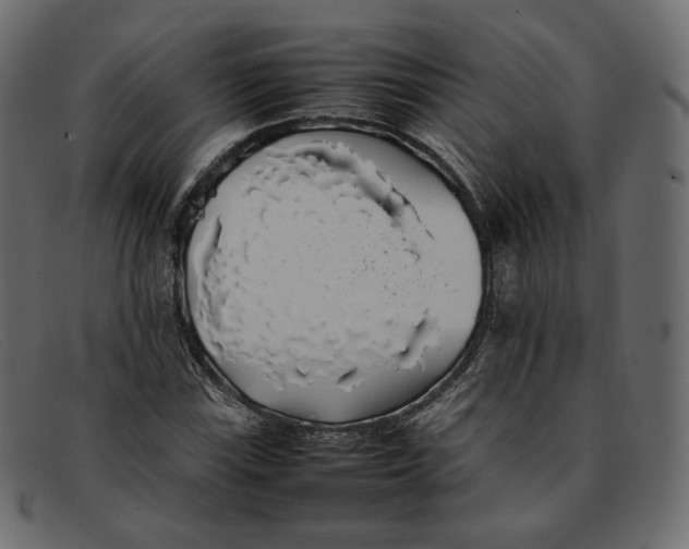 X0000092061115200710101029