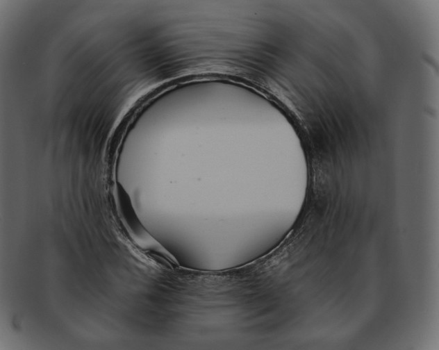 X0000092061116200710101029