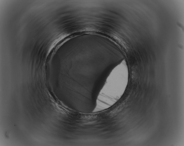 X0000092061117200710101029