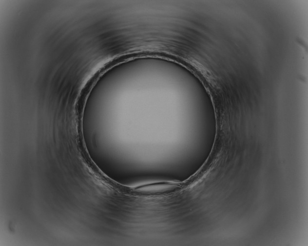 X0000092061118200710101029