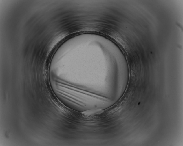 X0000092061119200710101029