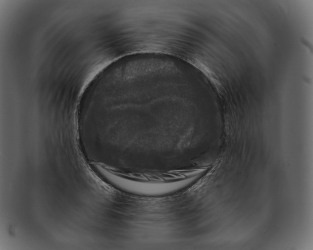 X0000092061120200710101029