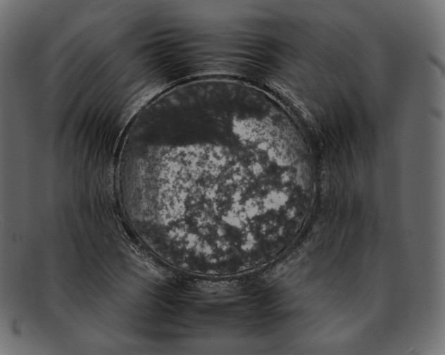 X0000092061121200710101029