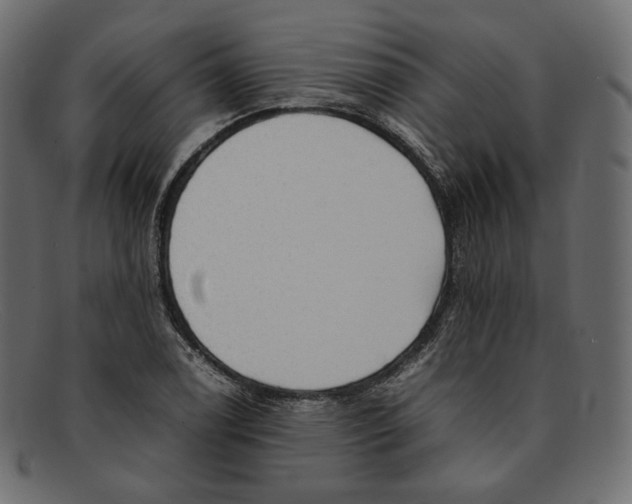 X0000092061122200710101029